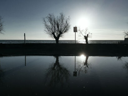 REFLECT - a Photographic Art Artowrk by katarzyna bak